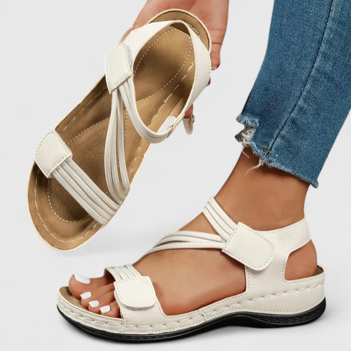 White / 43